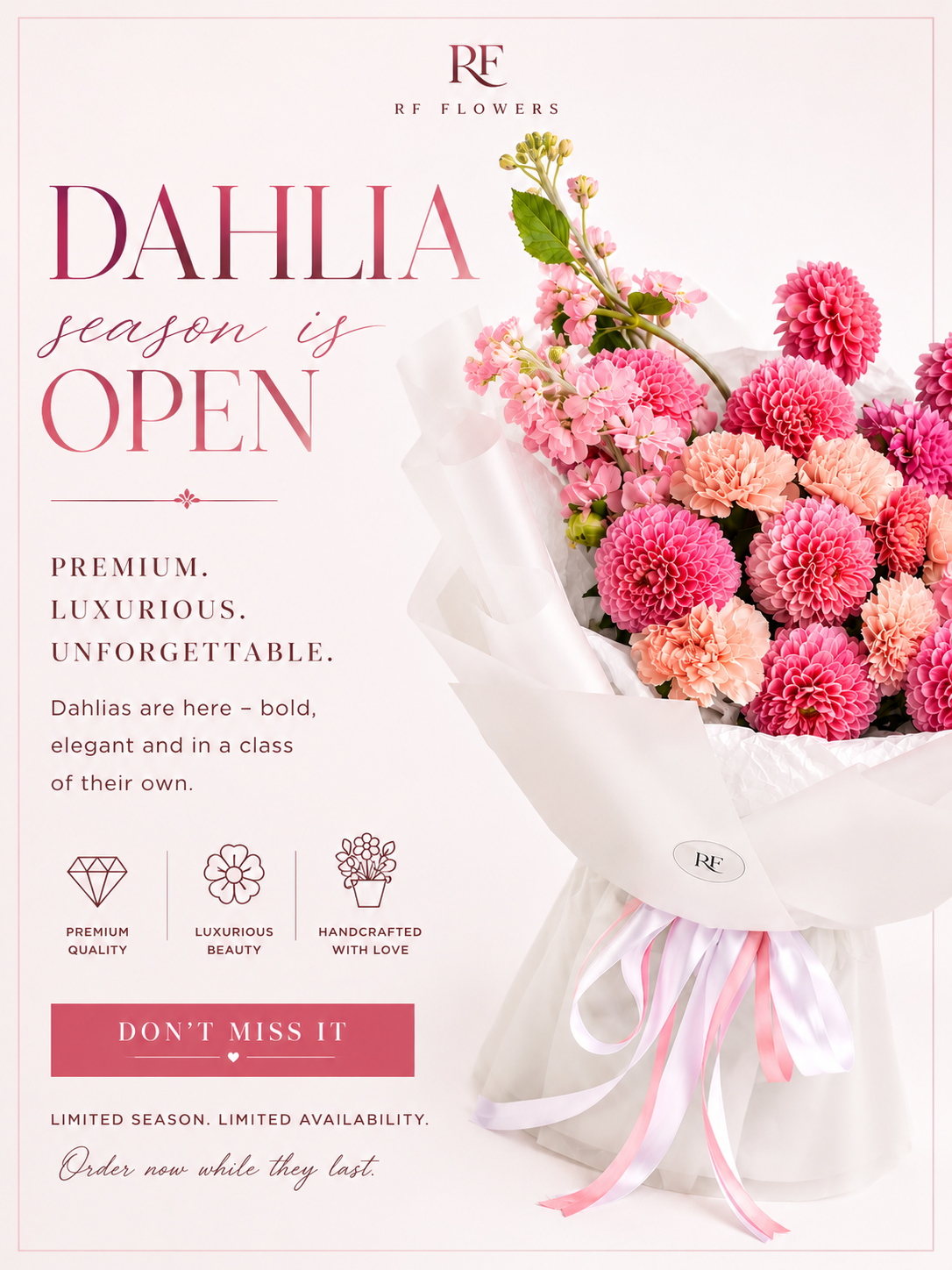 Dahlia Season Has Arrived in Chicago