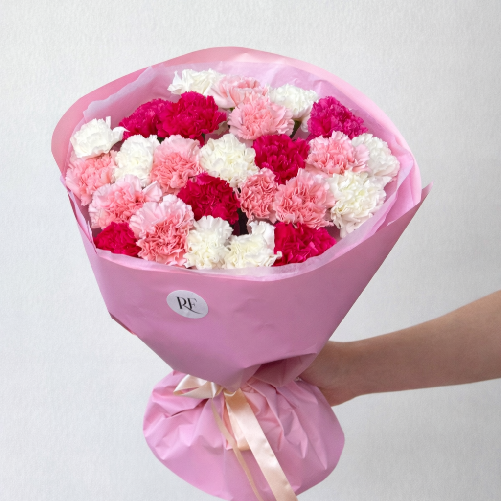 Carnation Serenade