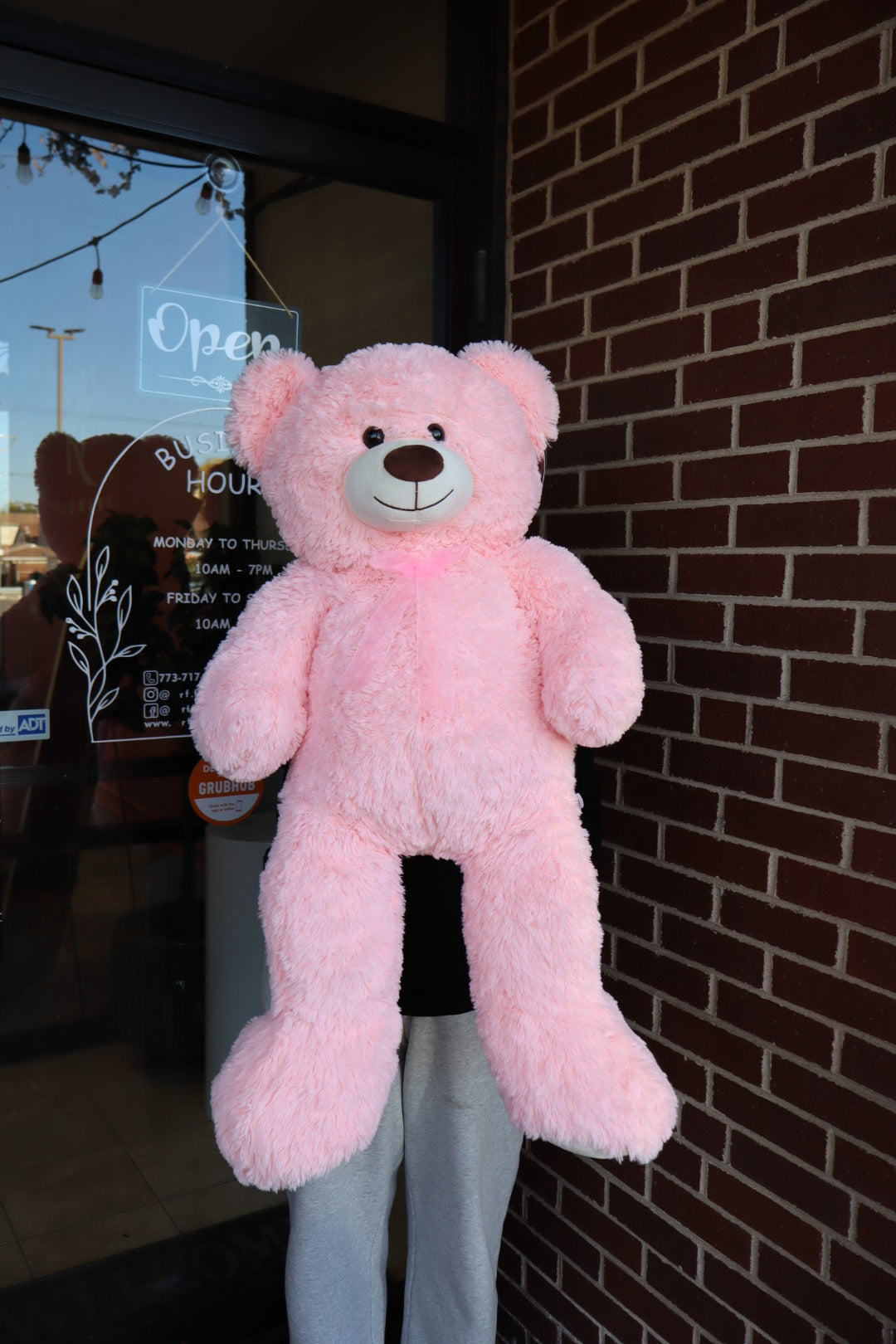 Large Teddy Bear