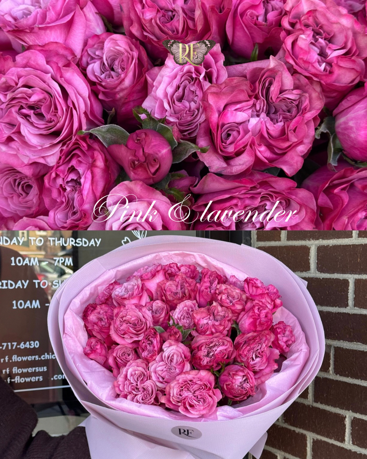 Pink Amore